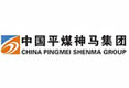 中国平煤神马集团_洛阳中星合作伙伴