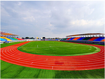 祝贺中星钢木垃圾桶进驻省体育馆