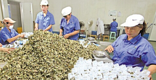 河南某中药材生产公司再次下单中星钢制中药柜