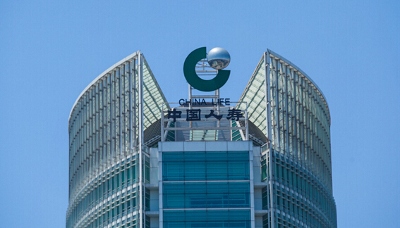 中国人寿股份有限公司下单中星钢制多斗柜