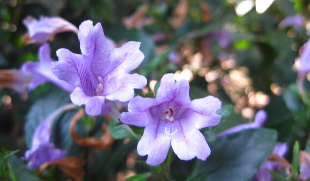 钢制中药柜的选购,中星只为长远的合作